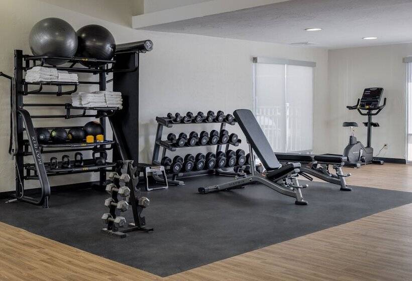 בית מלון כפרי Mysuites Lawton