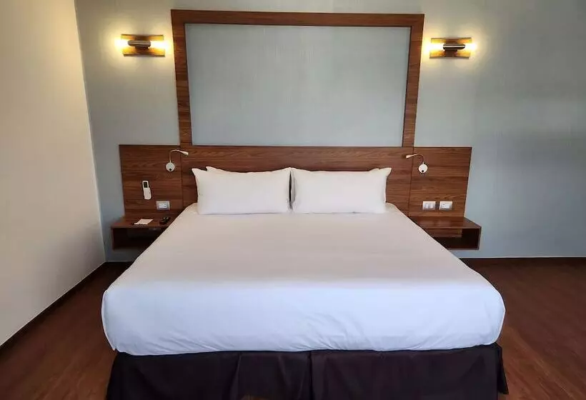 호텔 Ritz Ciudad De Mexico