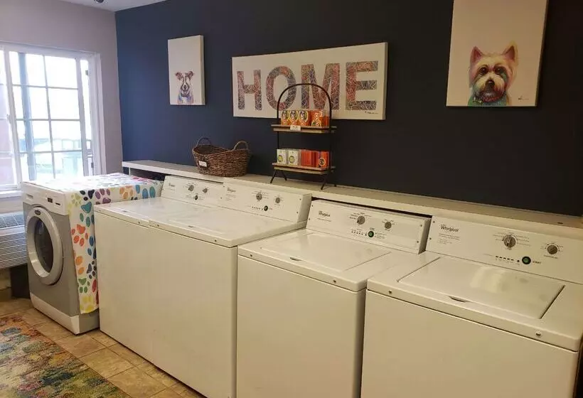 هتل Sonesta Simply Suites Detroit Ann Arbor