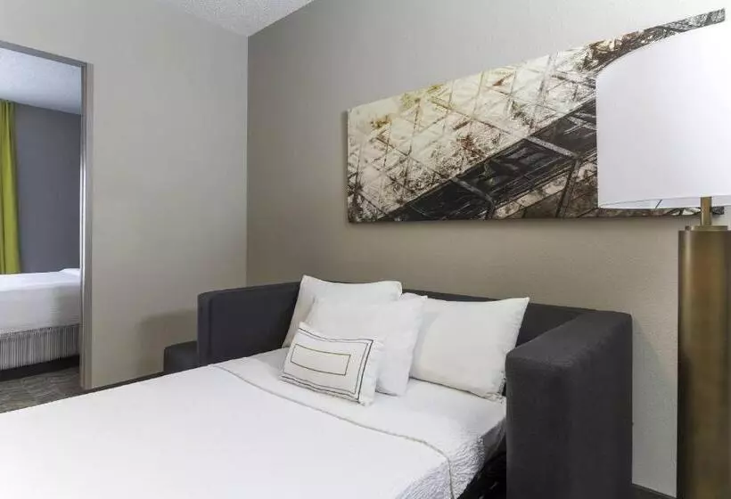 Hotel Springhill Suites By Marriott Austin Parmer/tech Ridge