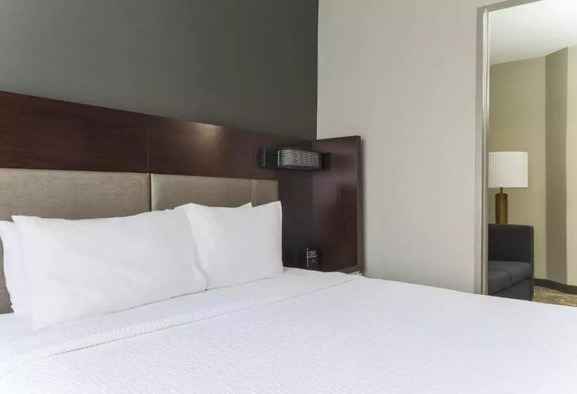 Hotel Springhill Suites By Marriott Austin Parmer/tech Ridge
