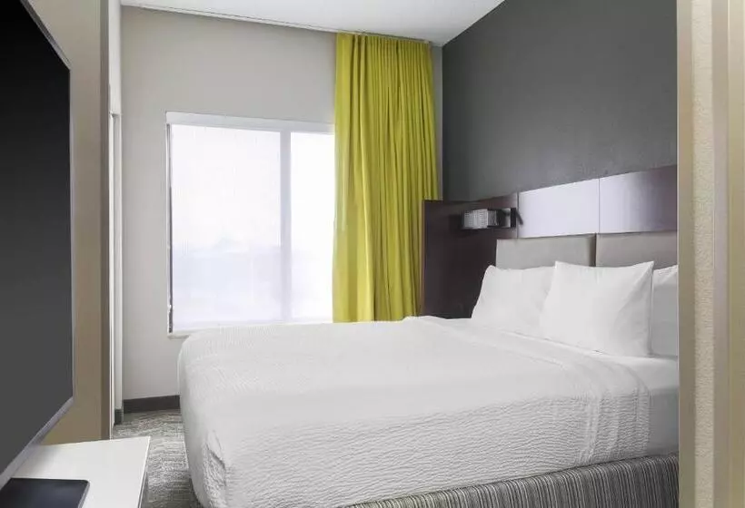 Hotel Springhill Suites By Marriott Austin Parmer/tech Ridge