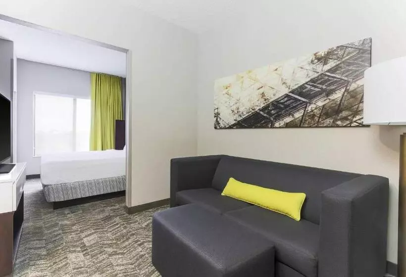 Hotel Springhill Suites By Marriott Austin Parmer/tech Ridge