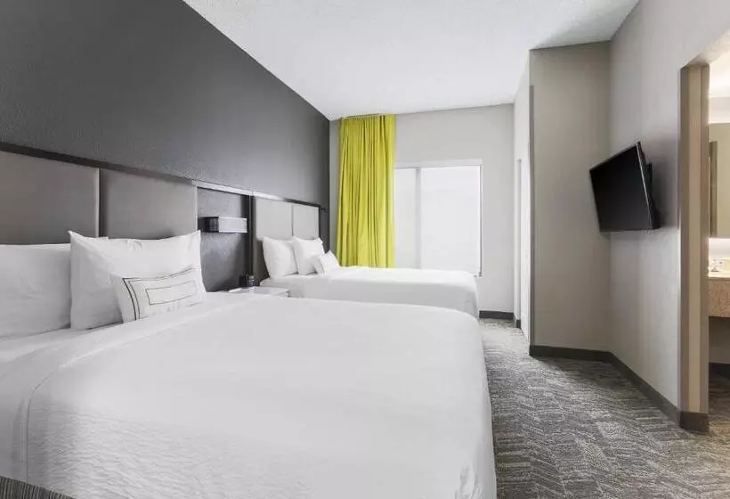 Hotel Springhill Suites By Marriott Austin Parmer/tech Ridge