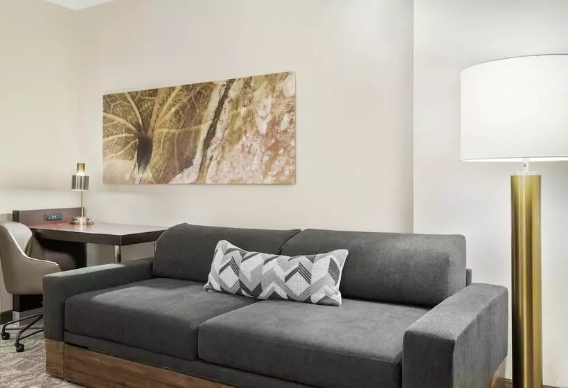 호텔 Springhill Suites By Marriott Cleveland Solon