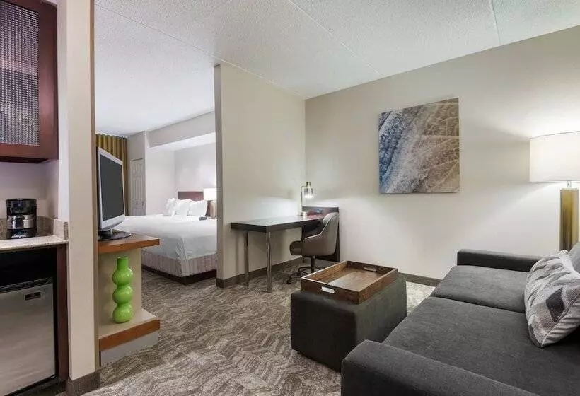 호텔 Springhill Suites By Marriott Cleveland Solon