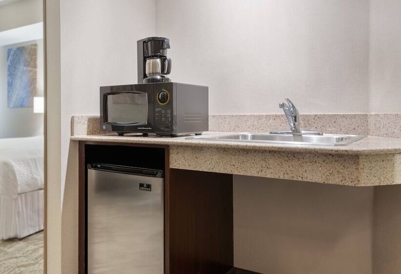 Szálloda Springhill Suites By Marriott Cleveland Solon