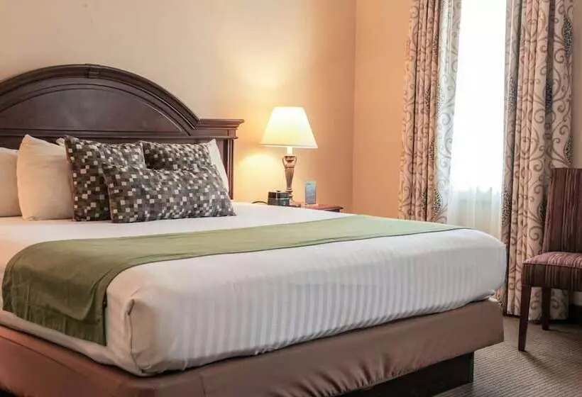 Отель The Conwell Inn