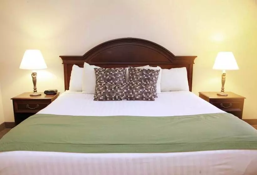 Отель The Conwell Inn