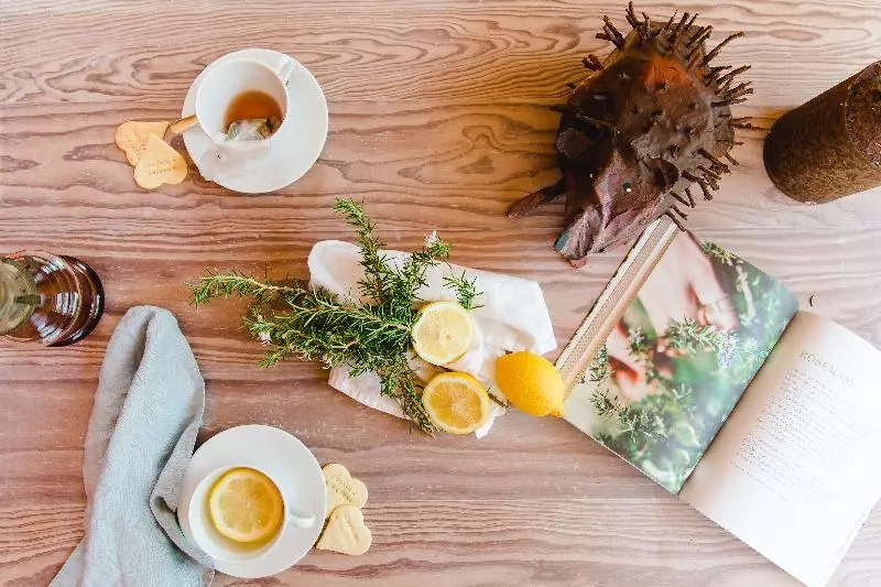 בית מלון כפרי The Nest By Cooking And Nature