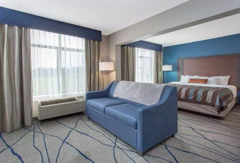 Otel Wingate By Wyndham Indianapolis Airport Plainfield