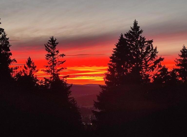 Общежитие Haus Kuhberg