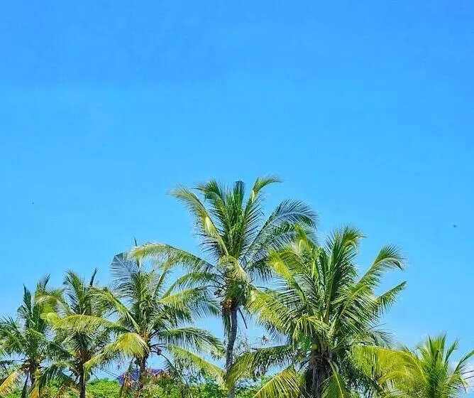 ユースホステル Swell Hotel, Pool Bar & Restaurant