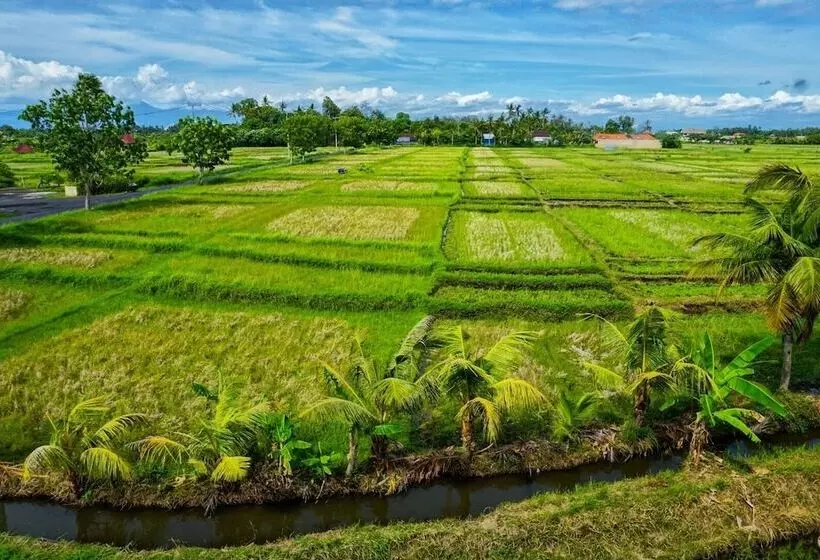 ユースホステル Swell Hotel, Pool Bar & Restaurant