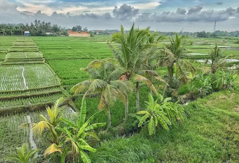 ユースホステル Swell Hotel, Pool Bar & Restaurant