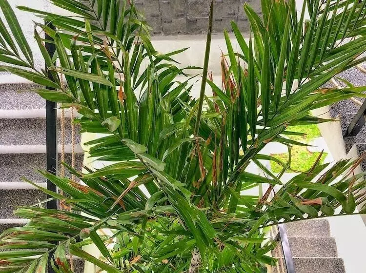 ユースホステル Swell Hotel, Pool Bar & Restaurant