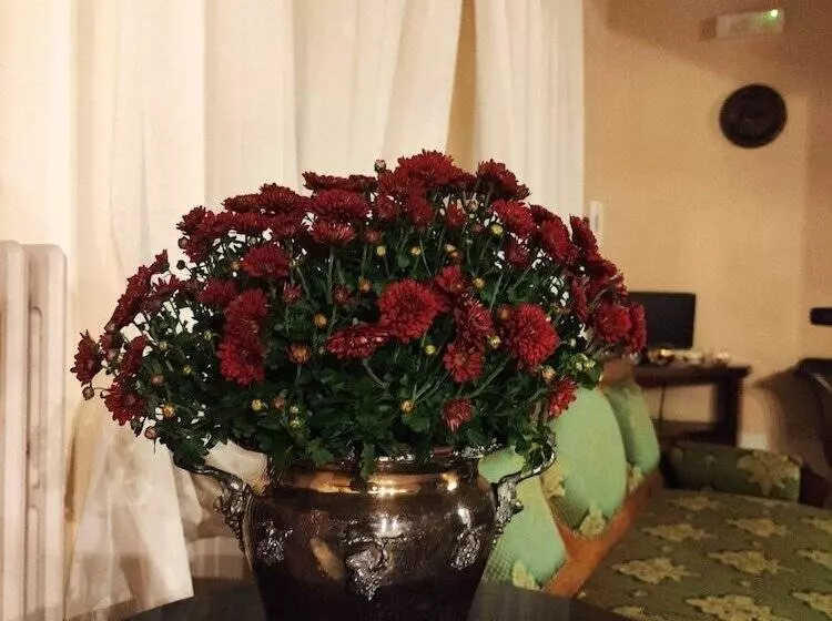 ホテル Dimora Marella Patrica   Frosinone