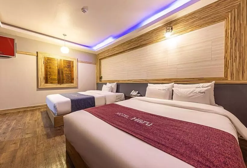 Hotelli Eumseong Haru