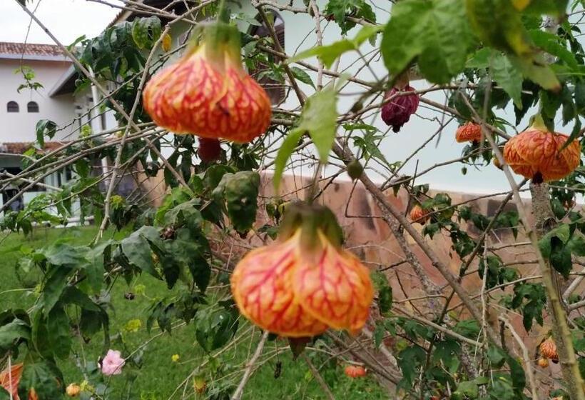 호텔 Pousada Ecológica Das Bromélias