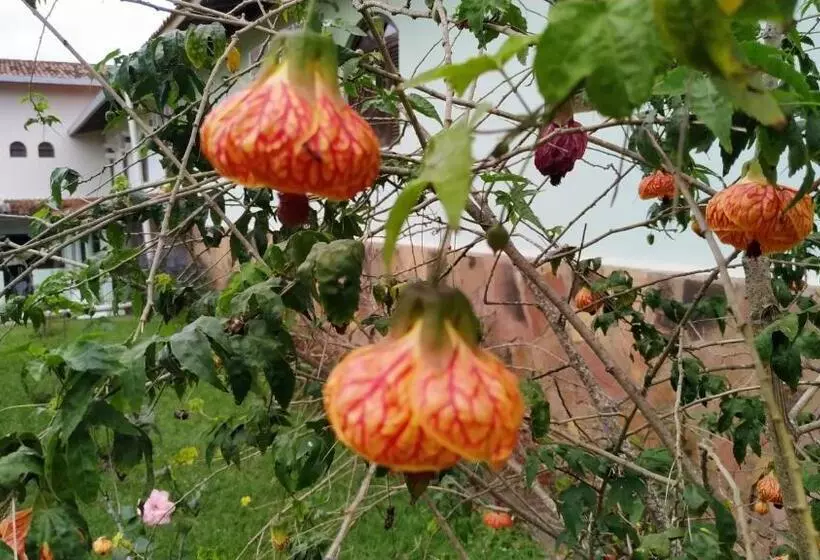 ホテル Pousada Ecológica Das Bromélias