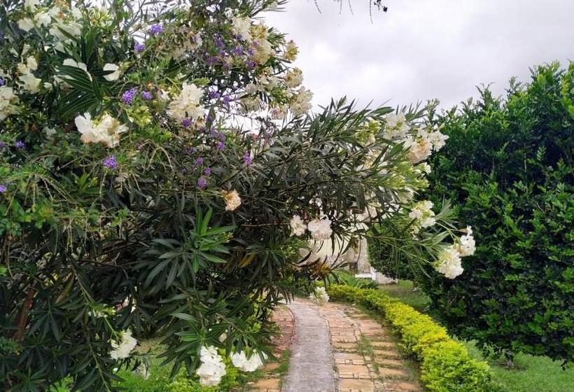 호텔 Pousada Ecológica Das Bromélias