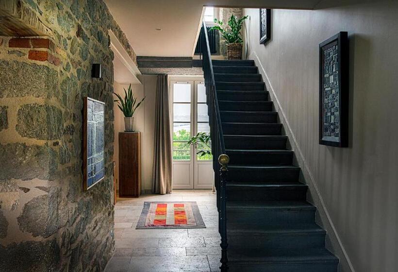 酒店 The View Of Montpeyroux