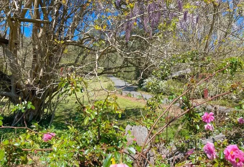 Majatalo Capers Cottage And Barn Accommodation