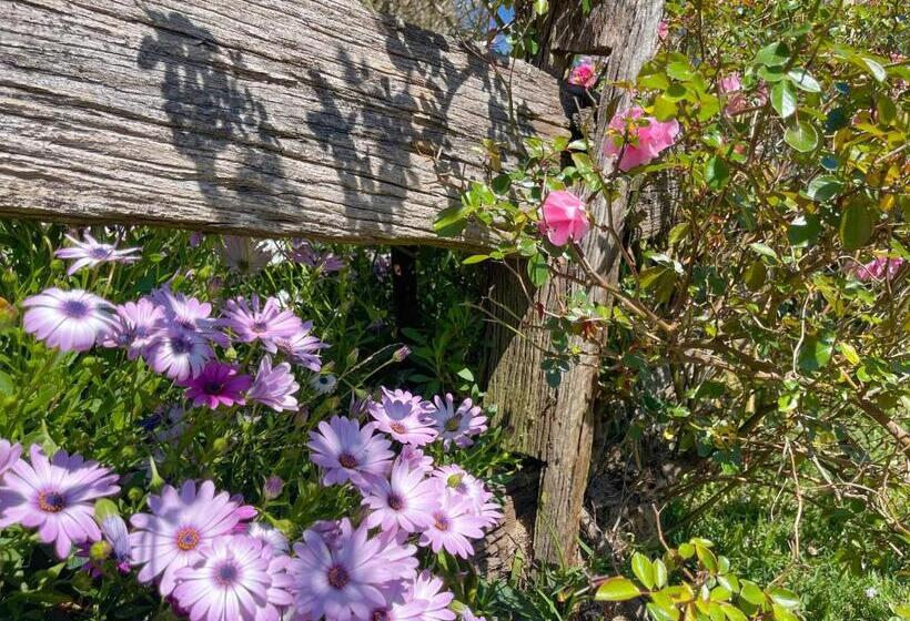 膳宿费 Capers Cottage And Barn Accommodation