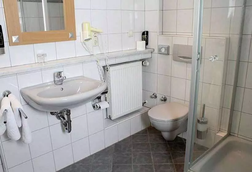 Hotelli Gasthof Pension Zum Goldenen Hirschen