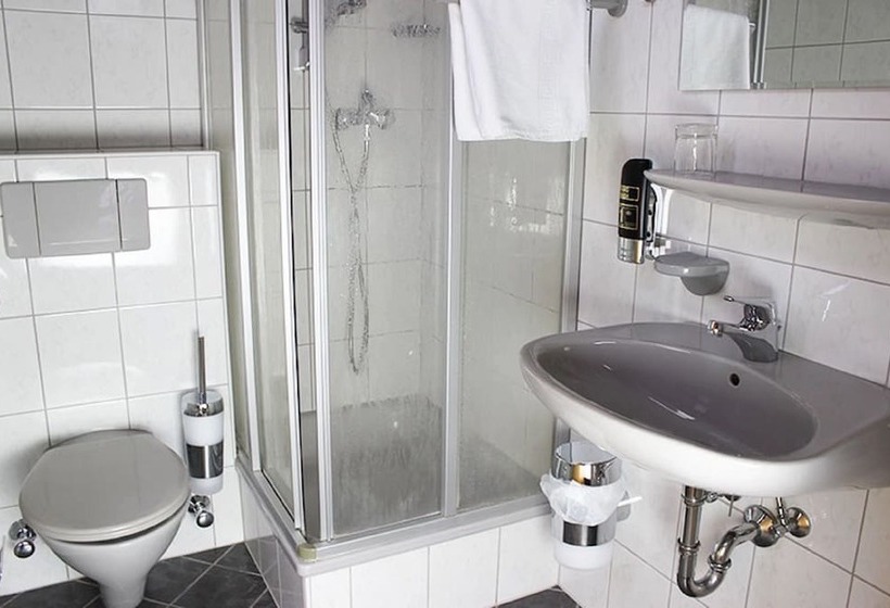 Hotelli Gasthof Pension Zum Goldenen Hirschen