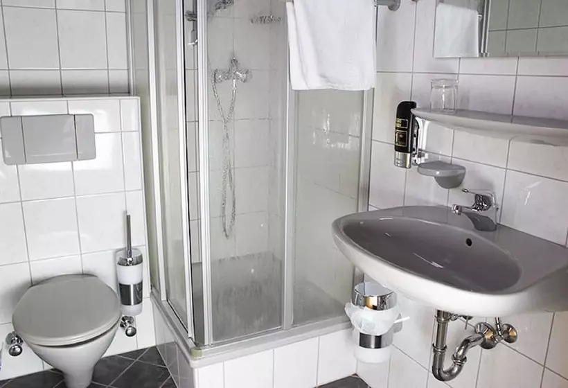 Hotelli Gasthof Pension Zum Goldenen Hirschen