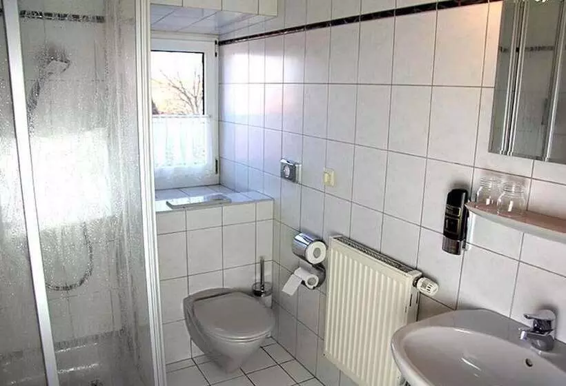 Hotelli Gasthof Pension Zum Goldenen Hirschen