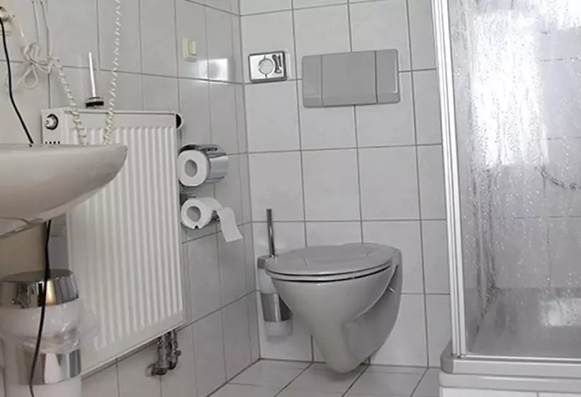 Hotelli Gasthof Pension Zum Goldenen Hirschen