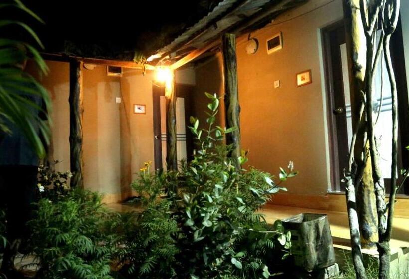 Отель Solitary Nook