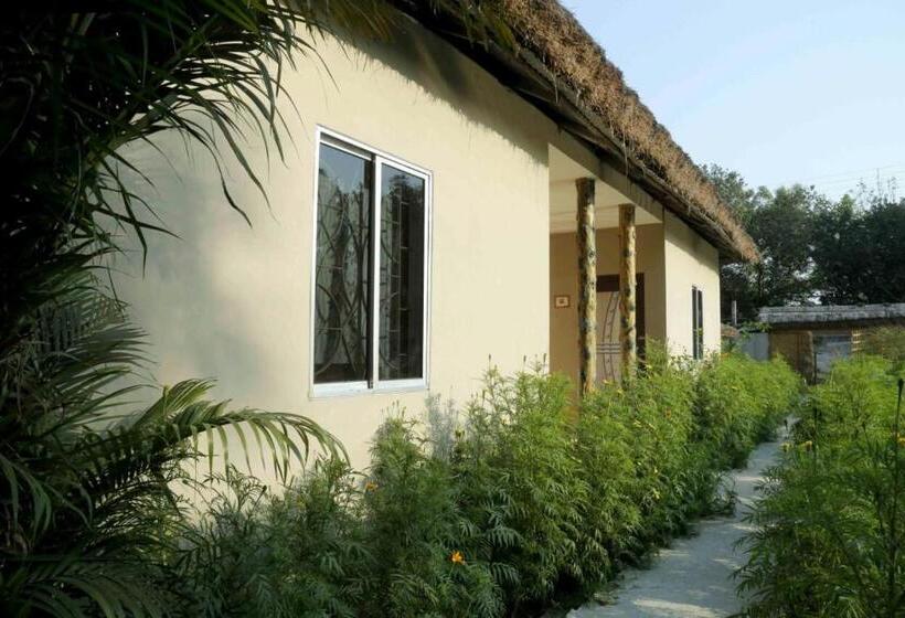 Отель Solitary Nook