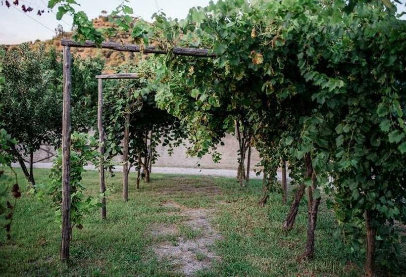 Отель Valle Degli Agrumi