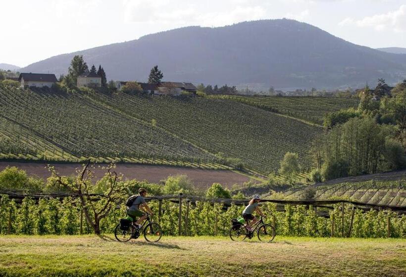 Hotel Wirtshaus Meißl