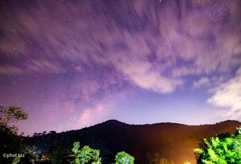 פנסיון Fazenda Pedra Grande