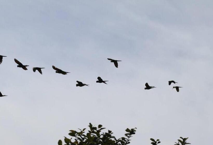 פנסיון Fazenda Pedra Grande