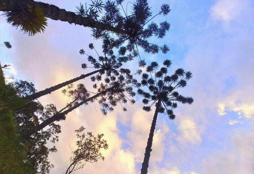 פנסיון Fazenda Pedra Grande