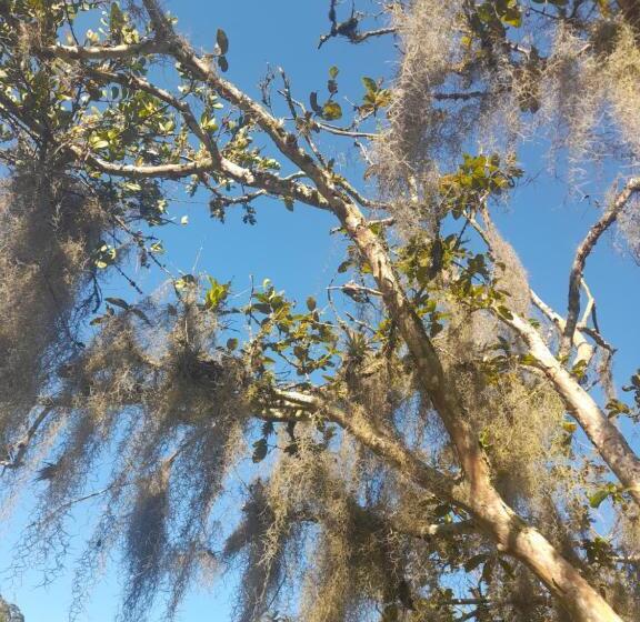 פנסיון Fazenda Pedra Grande