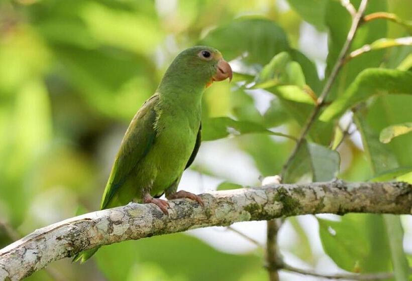 ペンション Hostal Suna Vito