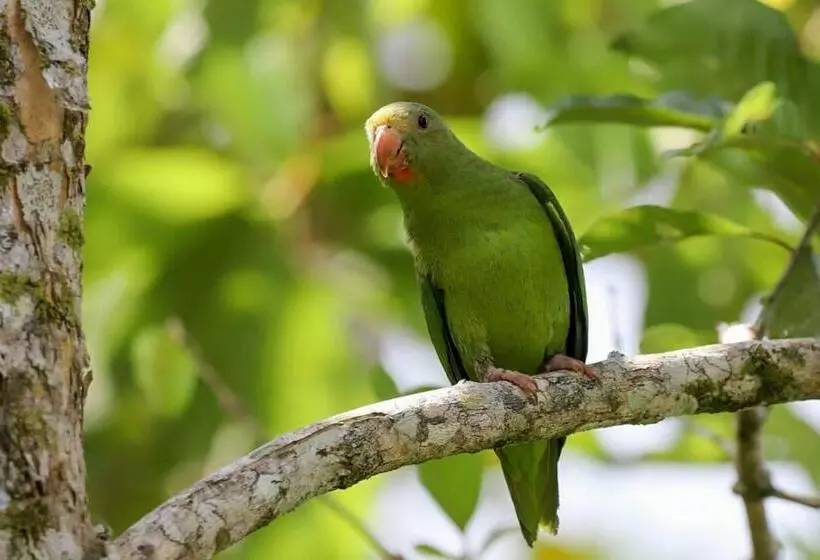 Majatalo Hostal Suna Vito