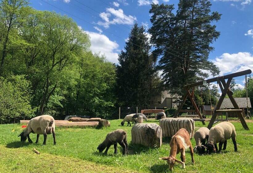 פנסיון Kameňácká Myslivna