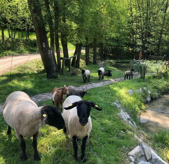 פנסיון Kameňácká Myslivna