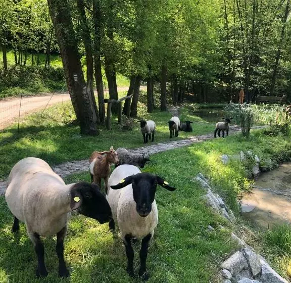 Majatalo Kameňácká Myslivna