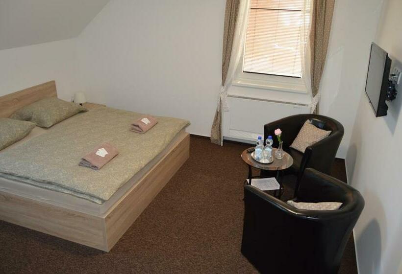 펜션 Penzion Sezemice