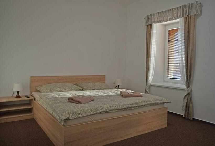 펜션 Penzion Sezemice