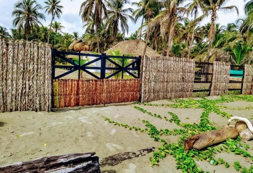 ペンション Zéfiro Hostal