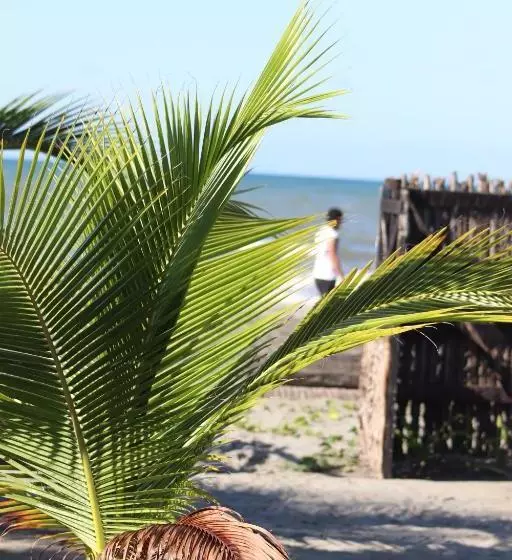 ペンション Zéfiro Hostal